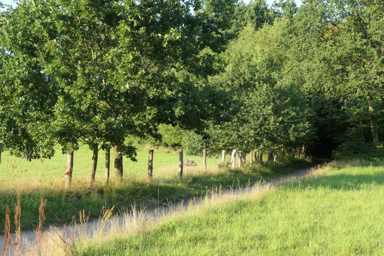 Ferienzimmer Suhrer Seeblick Plön Exteriér fotografie
